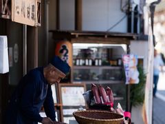 -成田山新胜寺