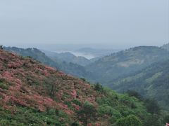 -木兰云雾山
