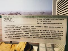 -北京大学赛克勒考古与艺术博物馆