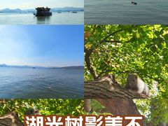 -西湖游船