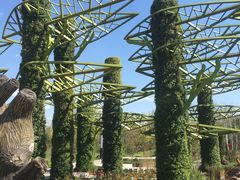 -武清南湖绿博园