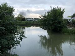 -马陆小张葡萄园农家乐