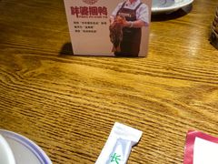 -胖婆捆鸭
