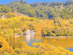 -深圳仙湖植物园