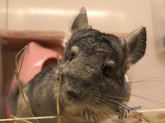 -龙猫仔乐园(惠福东路店)