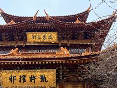 -东天目山风景区