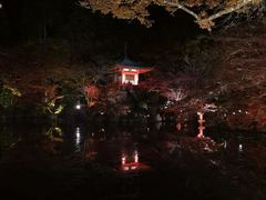 -醍醐寺
