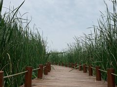 -苏州东太湖生态园