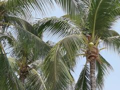 -三亚南山文化旅游区