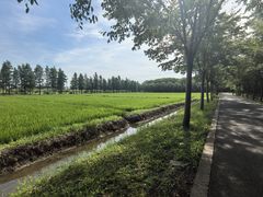 -广富林郊野公园