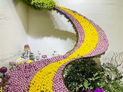 -杭州植物园