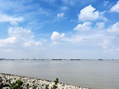 -上海滨江森林公园