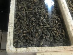 -崂山菜市场(上港小区店)