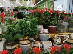 -大润发(勤业店)