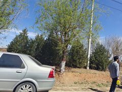 -君乐宝优致牧场