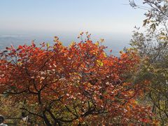 -香山公园