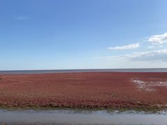 -红海滩国家风景廊道