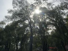 -石峰公园