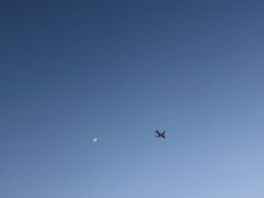 -上海滴水湖皇冠假日酒店