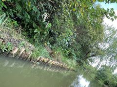 -同里国家湿地公园