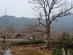 -塔川景区