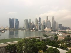 -新加坡丽思卡尔顿美年酒店