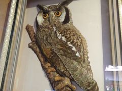 -陕西自然博物馆