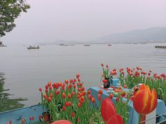 -湖畔居茶楼(湖滨店)
