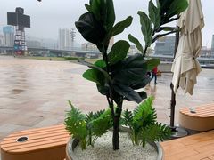 -喜茶(珠海华发商都店)