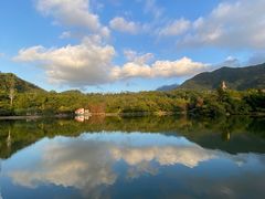 -深圳仙湖植物园