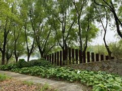 -昆山城市生态森林公园