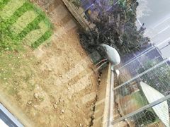 -无锡动物园·太湖欢乐园