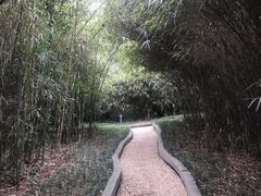 -菊花台公园