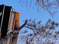 -玻璃桥景区石牛寨
