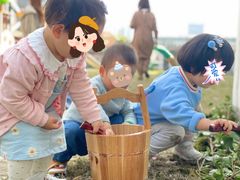 -硅谷蒙学幼儿园