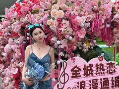 -荷兰花海
