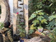-七贤国际青年旅舍(西七路分店)