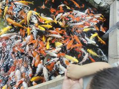 -南宫五洲植物乐园