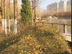 -前关湿地公园