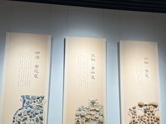 -鄂州市博物馆