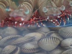 -三亚火车头万人海鲜广场