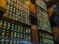 -广东中医药博物馆