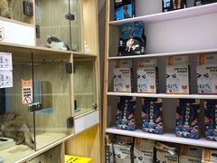-屋虎猫馆(宝安大仟里店)