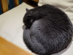 -初见咖啡(青大路店)