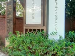 -湖北中医药大学(昙华林校区)