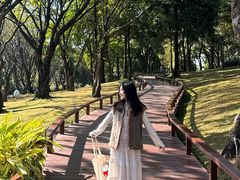 -云溪植物园