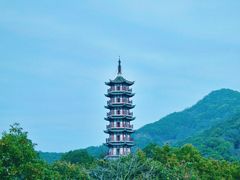 -黄贤森林公园