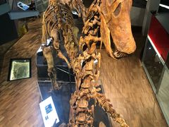 -墨尔本博物馆(Melbourne Museum)