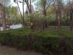 -群力丁香公园