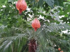 -南通洲际绿博园